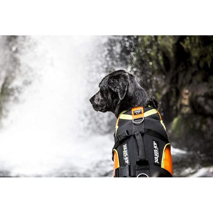 Жилет для собак Julius-K9 IDC 3в1, чорний та неоновий (XL)