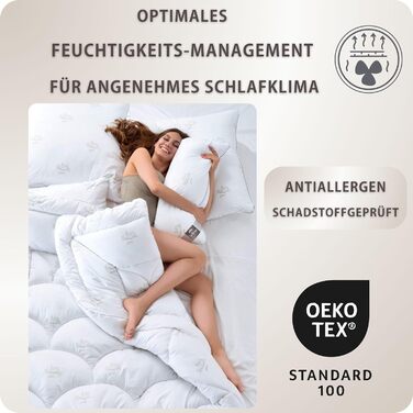 sei Design Pillowcases 80x80 2-Piece Set Sleep Pillows with Down-like Feel - 100% Softest Microfiber - Pillows 80x80 2-Piece Set Allergy-Friendly Sofa Pillows Decorative Cushions for Couch Bed 80 x 80 cm Swan 2