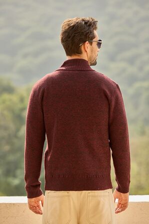 Чоловіча флісова куртка Les Umes з коміром-стійкою, Regular Fit (Бордовий, 3XL)