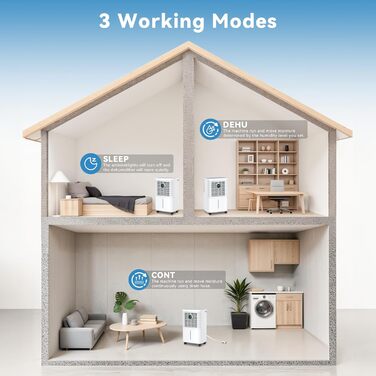 Invito Dehumidifier Electric 12L/24h with Digital Humidity Display, 24H Timer, Continuous Drainage, Room Dehumidifier, Laundry Drying, Suitable for Apartments/Basements