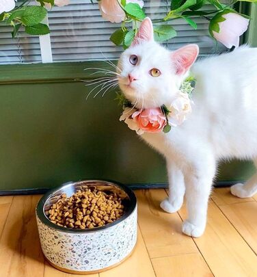 Миска для корму Pet Junkie Terrazzo з нержавіючої сталі для собак та котів, піднята, біла, маленька