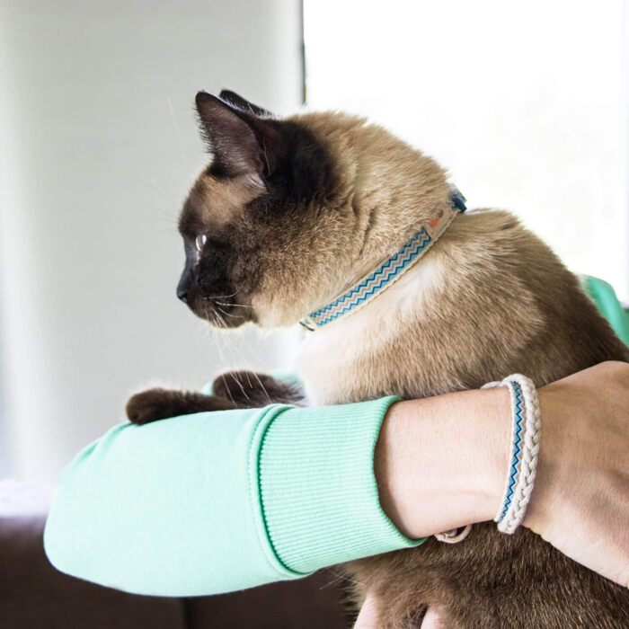 Нашийник для кота Pettsie з безпечною застібкою та браслетом дружби, міцна бавовна, D-подібне кільце для аксесуарів, регульований розмір 12,7-20,3 см, блакитний