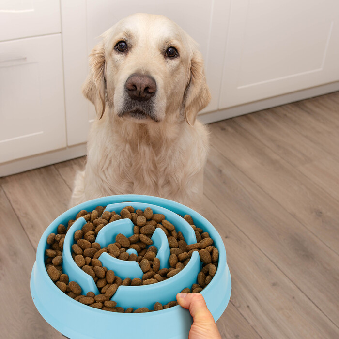Relaxdays Anti-Sliding Pet Bowl - 400 ml