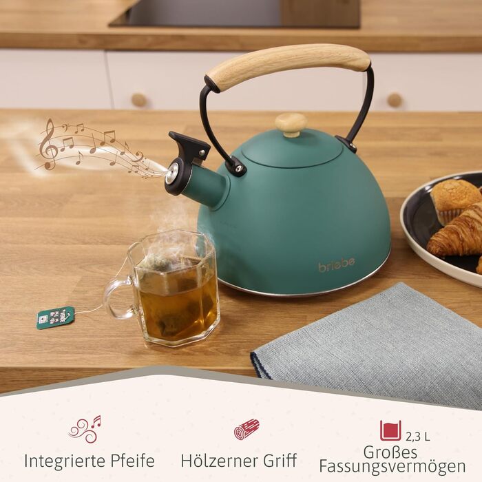 Чайник Nordic Wasserkessel Induktion 2.3L з нержавіючої сталі, з свистком, для чаю та кави, сумісний з усіма типами плит (індукційні, склокерамічні, газові, електричні), з дерев'яною ручкою Cool-Touch, ретро дизайн, зелений