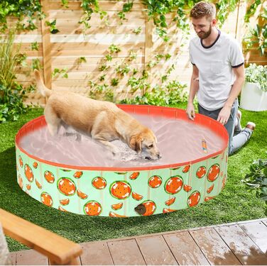 Басейн для собак Demigreat, 80/120/160 см, складаний, PVC, для великих та малих собак, (M: 120x30 см, кавун)