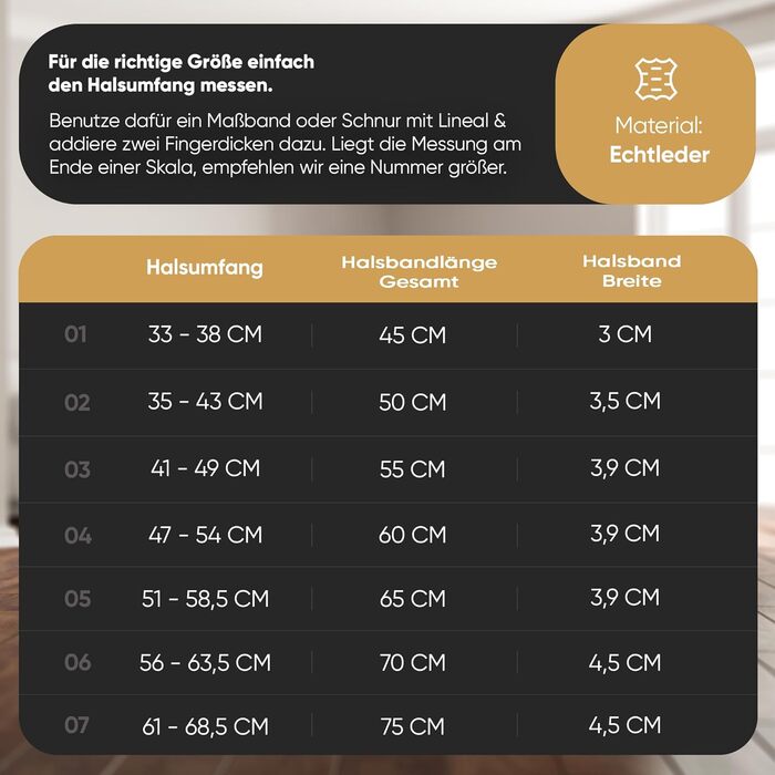 Нашийник для собак MICHUR Diego з натуральної шкіри, з декоративним левовим головою та заклепками, розмір 61-68,5 см