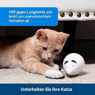 PetSafe Cat Toy, Interactive Activity Toy with Timer, 3 AA Batteries Required (Rolorat)