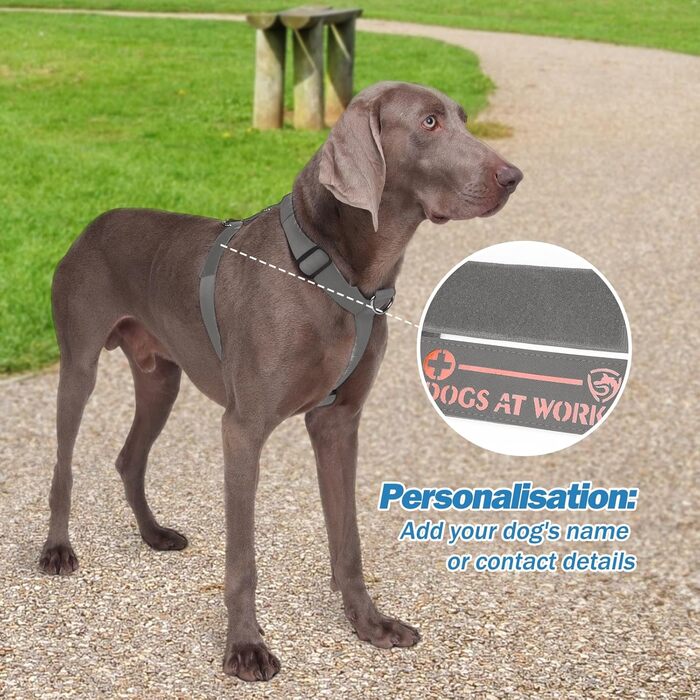 Шлейка для собак FEimaX для великих собак, тактична, не тягне, дихаюча, комфортна, сіра, міцна