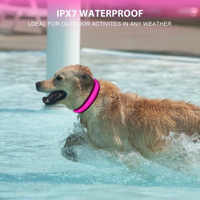 Світловідбиваючий нашийник для собак AUAUY LED, USB-зарядка, водонепроникний, регульований, безпечний, 6 кольорів, розмір S (11.8-15.7'/30-40 см)