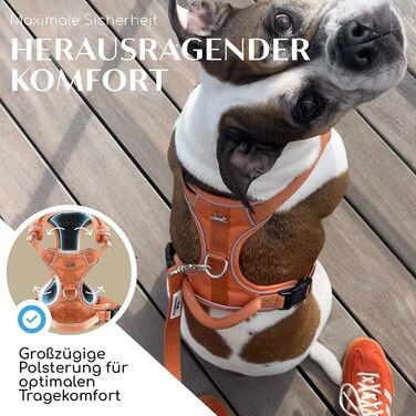 FREUDENTIER Dog Harness with Mesh Padding - Maximum Comfort, Bombproof Fit & Maximum Safety - Anti-Pull Front Ring - Chest Harness for Large, Medium and Small Dogs (Orange, XS)