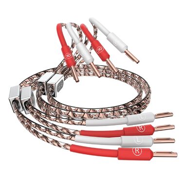 Акустичний кабель Tertullus VS903 Hi-Fi 2.5м, мідний OFC 17AWG (1.0 мм²) з банановими роз'ємами (B-B), преміум-якість