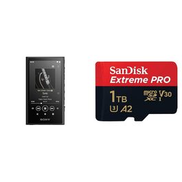 стиль: комплект з карткою пам'яті 1 тб