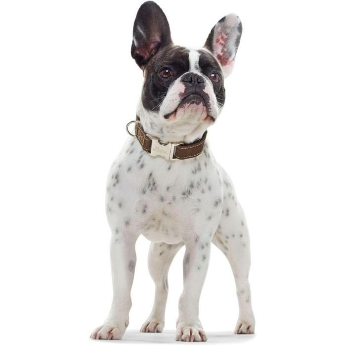 Нашийник для собак HUNTER ALU-STRONG: міцний, з алюмінієвим затвором, шкіряний, оливковий, розмір M