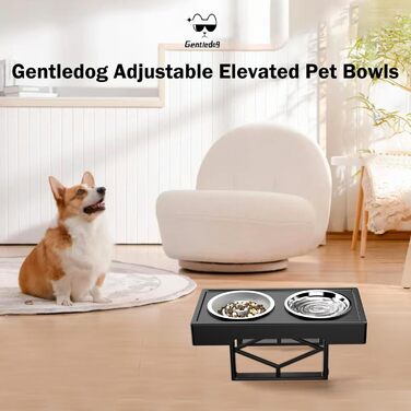 Підвищена годівниця для собак GentleDog 2-в-1: 3 положення висоти, неслизький стійкий підстав, миски з нержавіючої сталі та миска для повільного годування, для собак маленьких, середніх та великих порід
