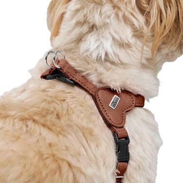 Нашийник для собак HUNTER SOHO MINI, колір: коричневий (cognac), шкіра, для маленьких собак та цуценят, Made in Germany, розмір XS