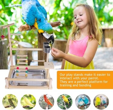 Parrot Playstand, Bird Playground, Parrot Bird Play Area, Parrot Bird Stand Bird Playground for Bird Cages, for Budgies and Cockatiels (37 * 26 * 44CM)