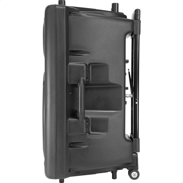 Портативна акустика Ibiza PORT12VHF-BT 12