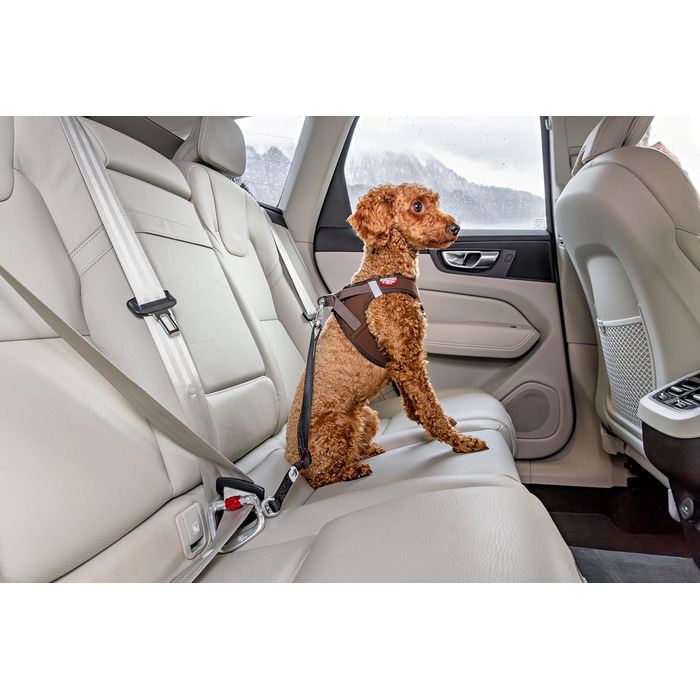 Large Car Safety Belt V2 L - Enhanced Vehicle Safety Restraint