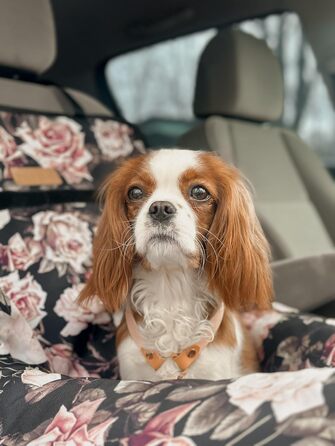 Крісло для собак у машину Petsen з іменем, корзина для собак, автоліжко для маленьких собак, автоліжко з іменем (Рожеве)