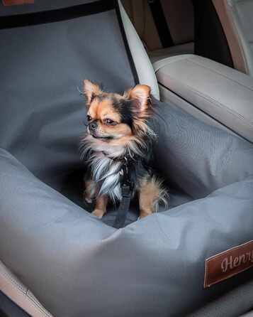 Крісло-ліжко для собак Petsen з іменем, сіре. Зручне автокрісло для собак маленьких порід, автоліжко з ліжком та поводок.