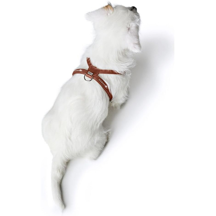 Нашийник для собак HUNTER Round & Soft Canadian UP, колір: Cognac, м'яка, еластична шкіра, прошитий по колу, щадний до хутра, екологічний, Made in Germany, розмір: S/1 S/1 cognac