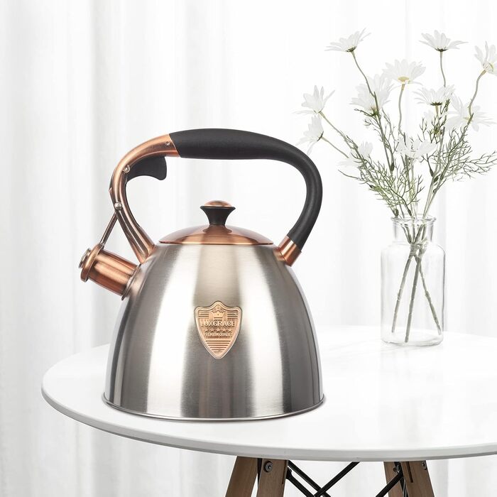 Чайник для плити Teekessel з нержавіючої сталі, 2,9 л