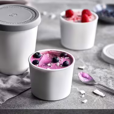 SPRINGLANE Ice Cream Container Set of 2, 500 ml, Stainless Steel, Ice Cream Container To Go, Freezer Container (Gray - Mini 4-piece set)