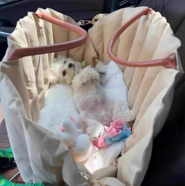 Автомобільний крісло-підвищення для собак, велике (55x42x42 см), світло-хакі. З безпечним ременем.