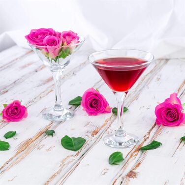 Бокали для Мартіні Rink Drink 175 мл (24 шт) - Стильні келихи для коктейлів, джину, вина та шампанського для вечірок та ресторанів