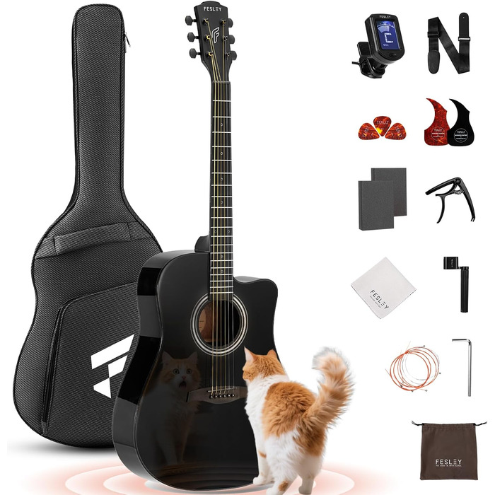 Акустична гітара Fesley X Kit FD60C, 41 дюйм, 6 струн, чорний колір, для початківців, з аксесуарами