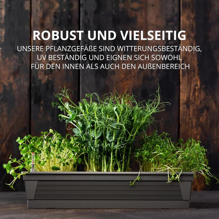 Plastard Milano Flower Box Set of 3, 60 cm long, Anthracite color with water reservoir and water level indicator. Planting box for garden and balcony, weather-resistant for indoor and outdoor use.