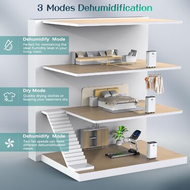 12L/Day Dehumidifier with Digital Humidity Display, Automatic Dehumidification, 24H Timer, Continuous Drainage, 2.5L Water Tank, Drain Hose, Ideal for Basements, Against Moisture