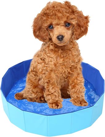 Надувний басейн для собак, 50 x 10 см. Зручний, портативний, для літнього відпочинку вашого улюбленця