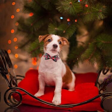 Нашийник для собак Lionheart Glory з візерунком клітинки, регульований м'який нашийник з метеликом, нашийник з бантиком для середніх собак, подарунок для домашніх тварин, червоно-зелена клітинка (1 шт.)