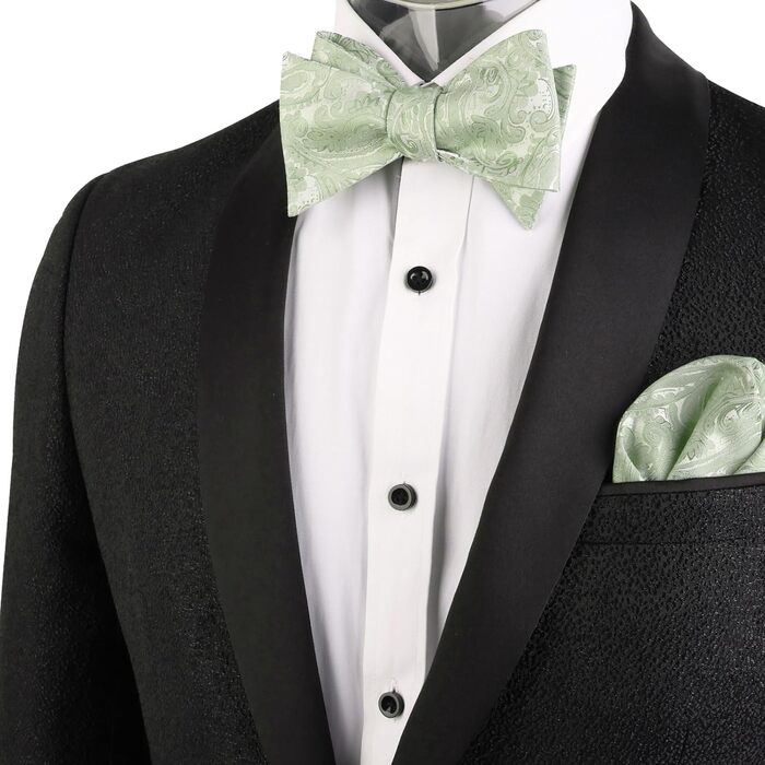 Чоловіча краватка-метелик Alizeal Retro Paisley з хустинкою, блакитна (універсальний розмір, 176-Salbei Grün)