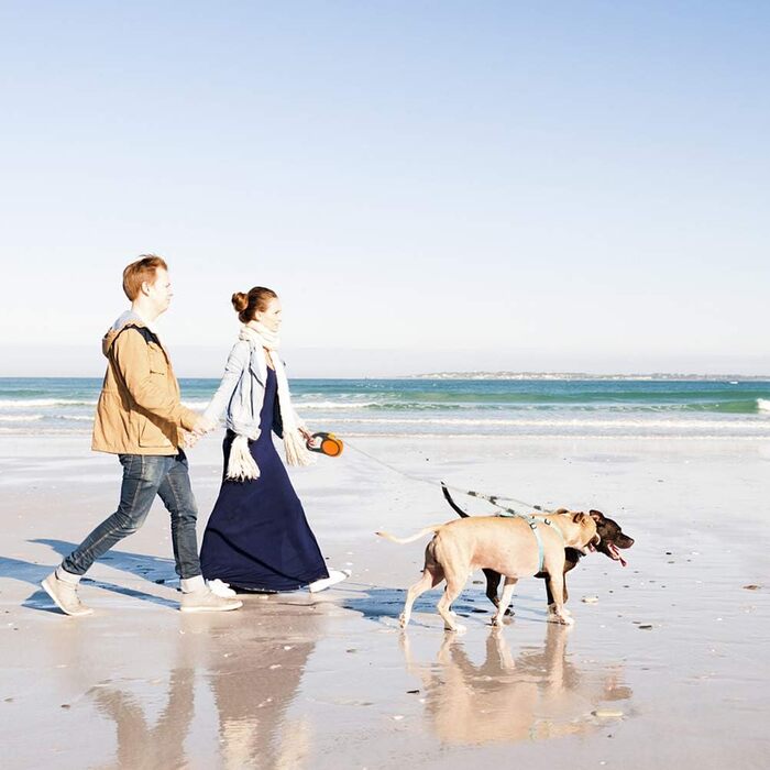 KOOLTAIL Подвійна висувна повідка для собак на двох, до 50 кг, міцна, 5 м, обертається на 360°, без спутанності, з кнопкою блокування, помаранчевий