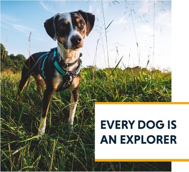 Шлейка для собак Ruffwear Hi Light Basalt Gray S