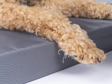 TrendPet VitaMedog: ортопедичний килимок для собак, водовідштовхувальний (110x70 см, L 50 x B 35 x H 5 см)