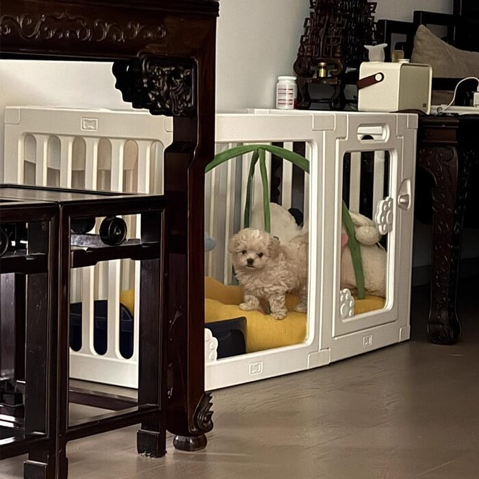 Клітка для собак з дверима, безпечна клітка для собак, цуценят, котів, кроликів, горностаїв, легка у встановленні та чищенні, пластикове вольєр з анкерами та присосками для маленьких (5 + 3: 50 x 150 см)