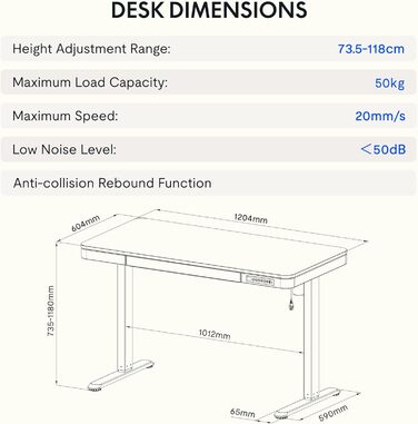 FLEXISPOT Electric Standing Desk with LED Display, Memory Function, USB Port & Drawer - 120x60cm Natural Oak