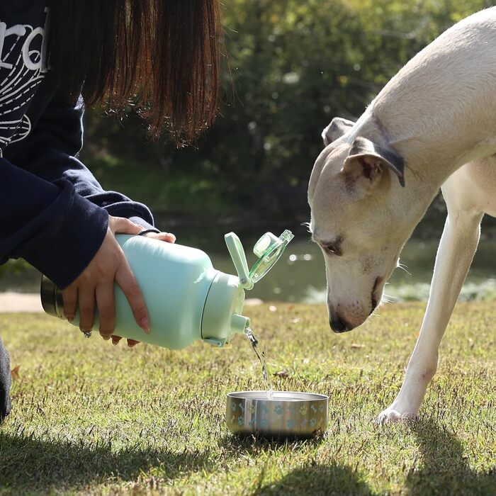 GiNT Термопляшка з нержавіючої сталі для собак та людей, 3-в-1, з мисками та сумкою, вилка-поїльник, для подорожей, прогулянок, кемпінгу, авто (Зелена)
