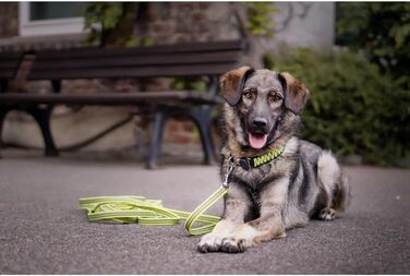 Нашийник для собак Sprenger з паракорду Nylon, 55 см, жовтий, з кліпсою з нержавіючої сталі, водовідштовхуючий, відбиваючий, міцний