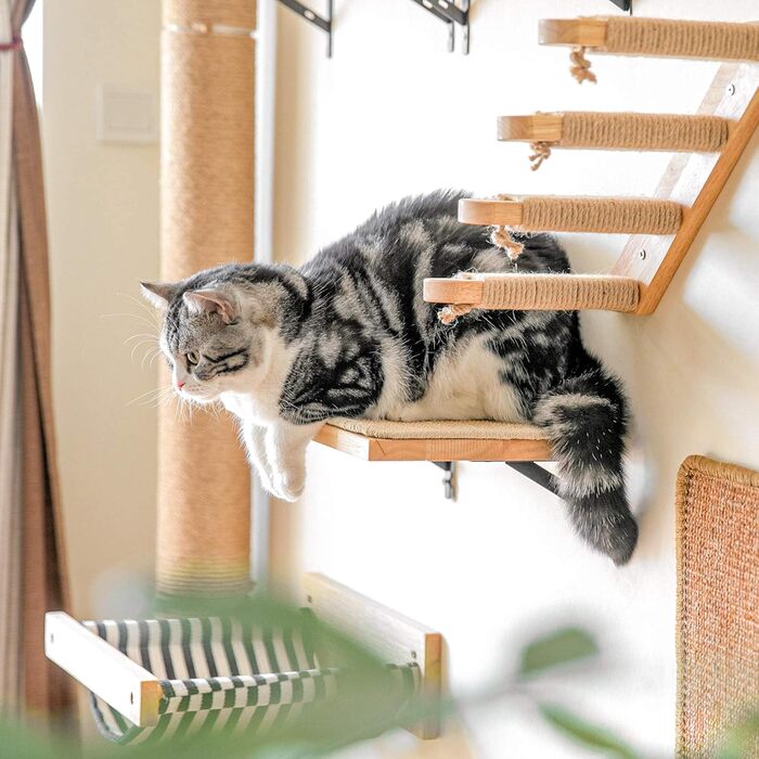 FUKUMARU Climbing Wall for Cats, Cat Bed Wall made of 2cm thick solid rubber wood with durable sisal scratching mat, 40x25cm Wall Cat Lounger/Cat Ladder