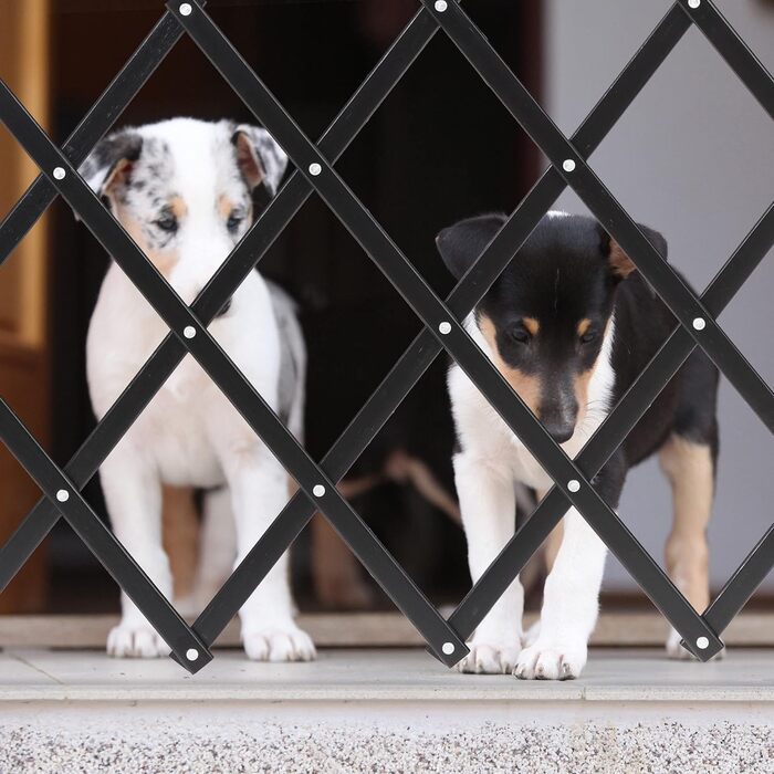 Захисне ворота для собак Relaxdays, висувні до 96 см, 48,5-60 см висота, чорний колір