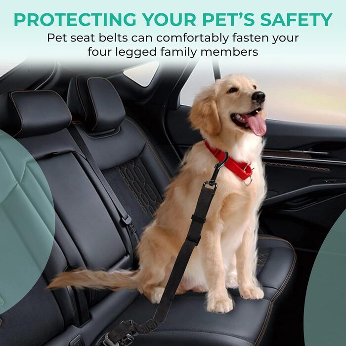 Ремінь безпеки для собак у машину – набір 2 шт. з дорожнім мискою, еластичним гумовим реміннем, регульований, з поворотним механізмом 360° та функцією захисту від ударів для безпечної поїздки