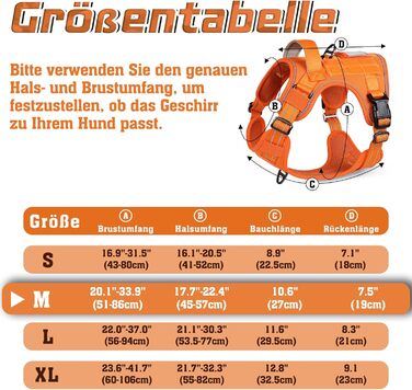 Нашийник для собак Rabbitgoo середнього розміру, анти-тяга, регульований з ручкою, міцний, тактичний, з металевими пряжками, для прогулянок (M, Оранжевий)