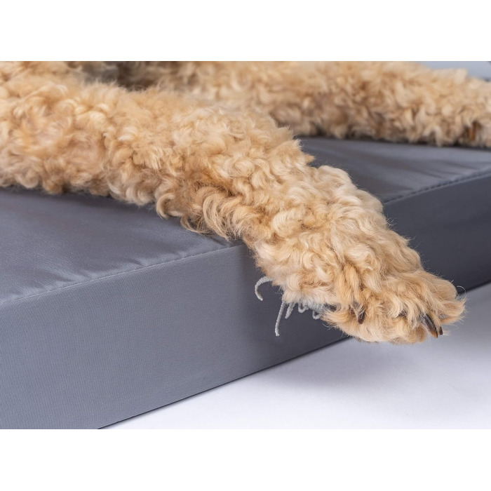 TrendPet VitaMedog: ортопедичний килимок для собак, водовідштовхувальний (110x70 см, L 50 x B 35 x H 5 см)