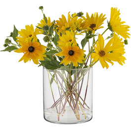 TREND Home Decorative Glass Containers 19 cm Cylinder Vase Flower Vase Candle Holder Stump Candles Candle Holders Glass Vase Floor Vase Large Decoration Wedding Transparent | Ø 19 cm | 4848 ml | Naida (15 cm)