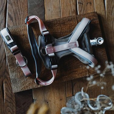 Нашийник для собак HUNTER Vario Plus Neopren, колір персиковий/сірий, розмір M-L, міцний нейлон, м'яка неопренова підкладка, регульований, з запобіжником, зручний у догляді