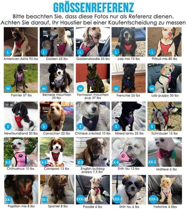 Автомобільний нашийник для собак з кріпленням для безпеки, 2 карабіни, регульований, дихаючий (Чорний, M)